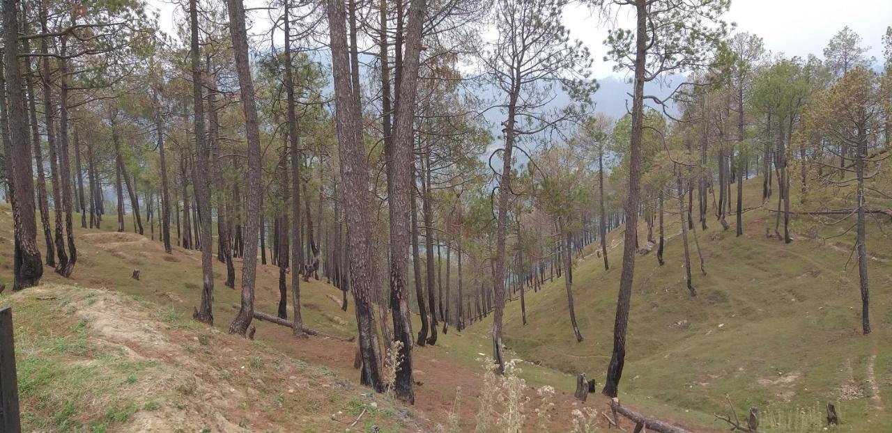 Elphinstone Inn Almora Kültér fotó